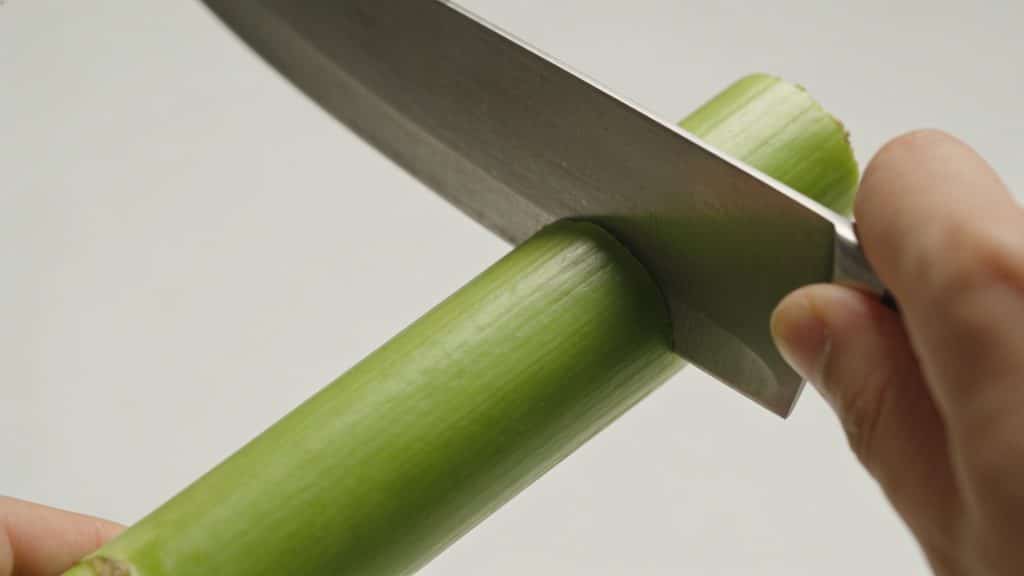 Mains coupant une tige verte en biseau