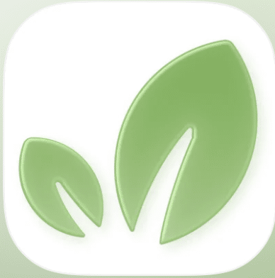 Plantalya